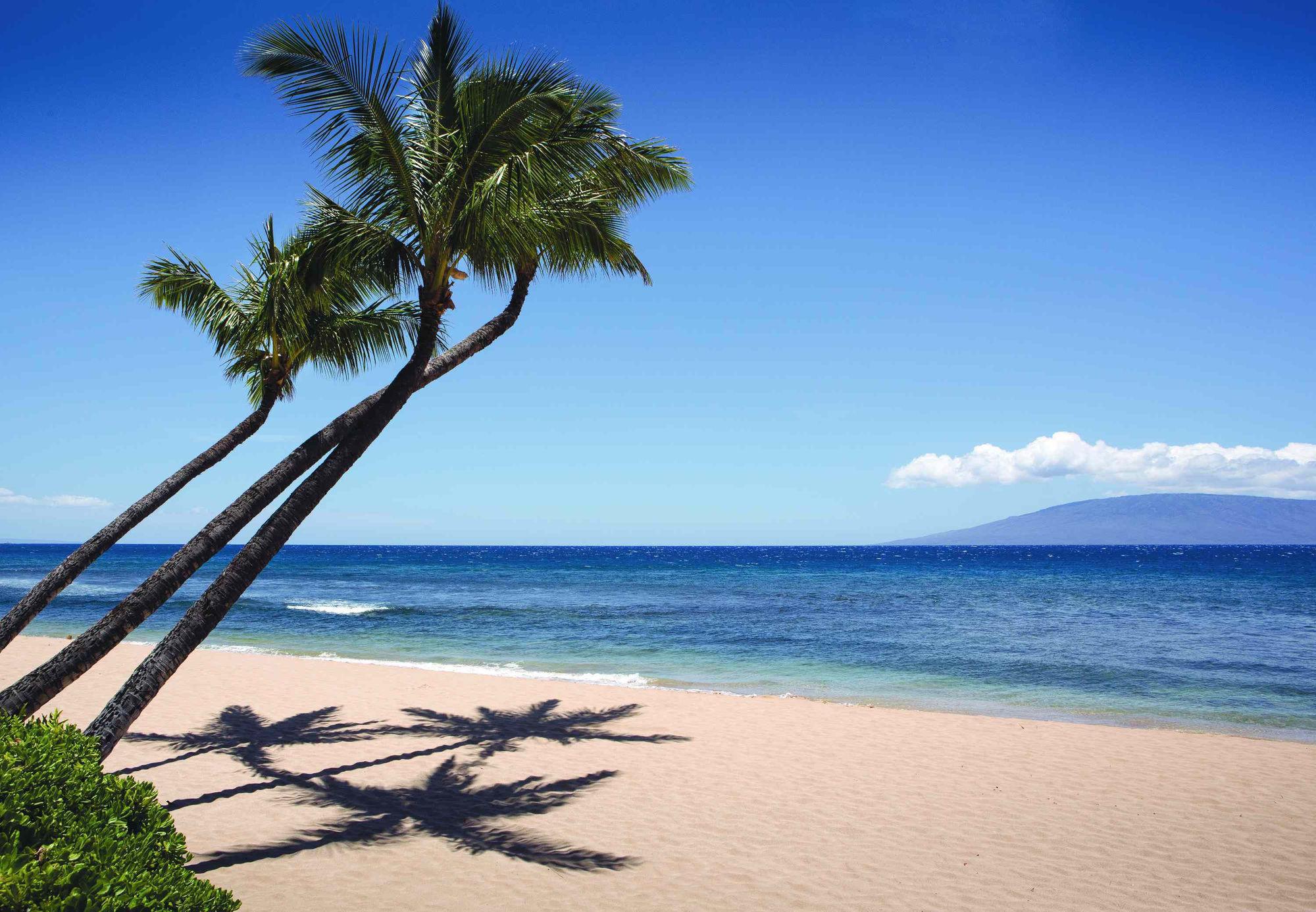 Hotel Marriott'S Maui Ocean Club - Molokai, Maui & Lanai Towers Lahaina Exterior foto